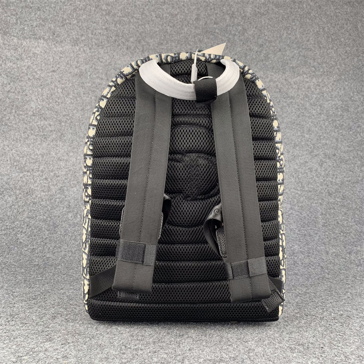 Dior Oblique Ride Backpack