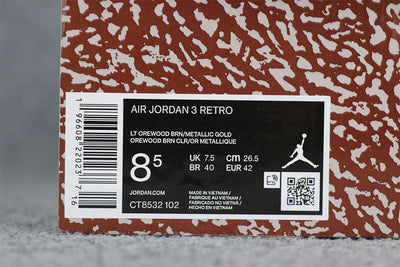 Air Jordan 3 Retro 'Palomino'