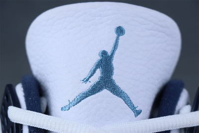 Air Jordan 4 Retro LS 'Columbia'