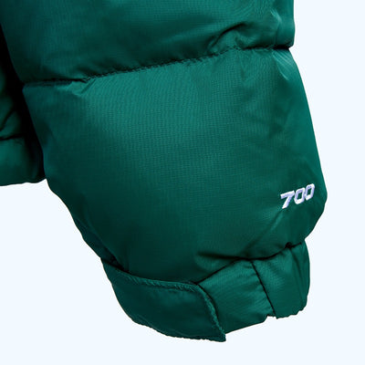 Die Nordwand 1996 Retro Nuptse Jacke 'Grünen'