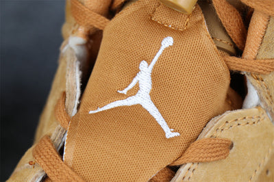 Air Jordan 6 Retro 'Wheat'