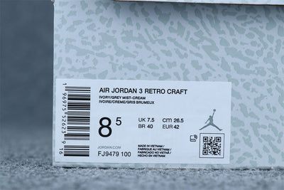 Air Jordan 3 Retro SE 'Craft - Ivory'
