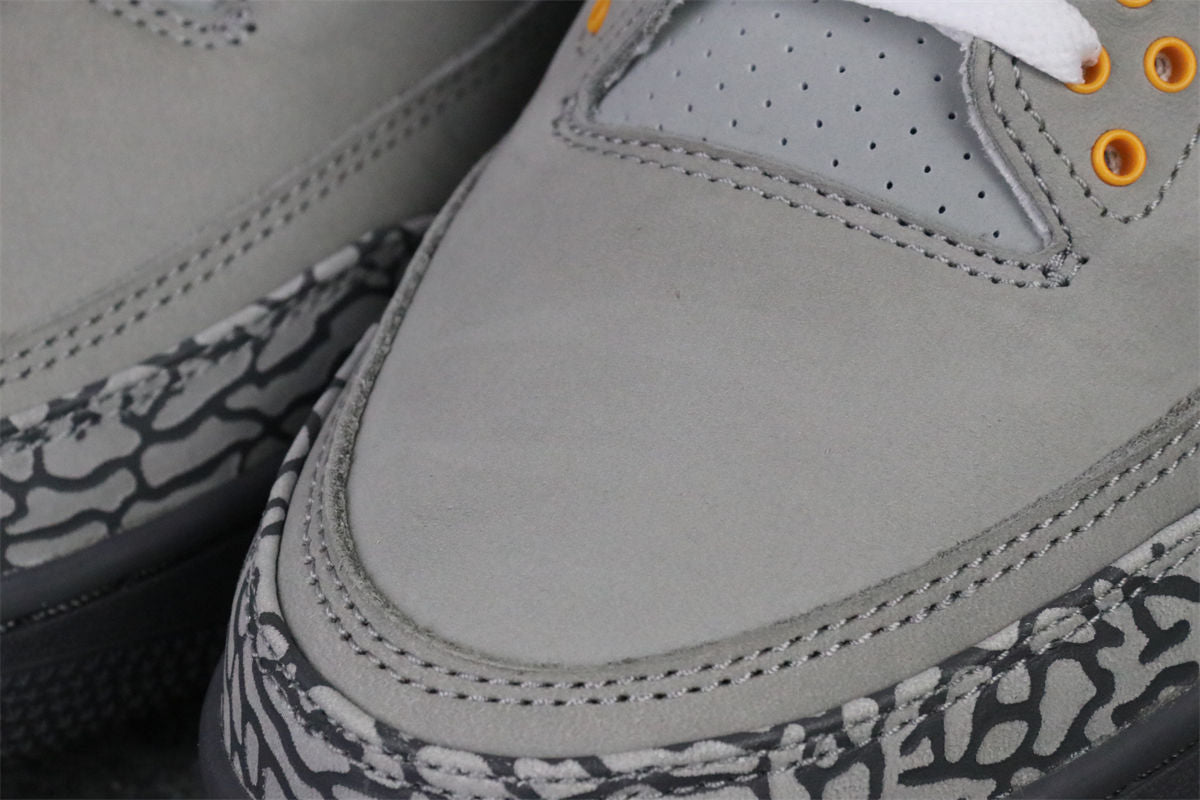 Air Jordan 3 Retro "Cool Grey" 2021